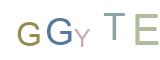 Captcha-Image